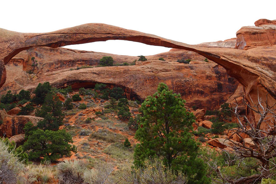 Scenery from New Haven Residential Treatment Center's Family Camping Trip to Moab.